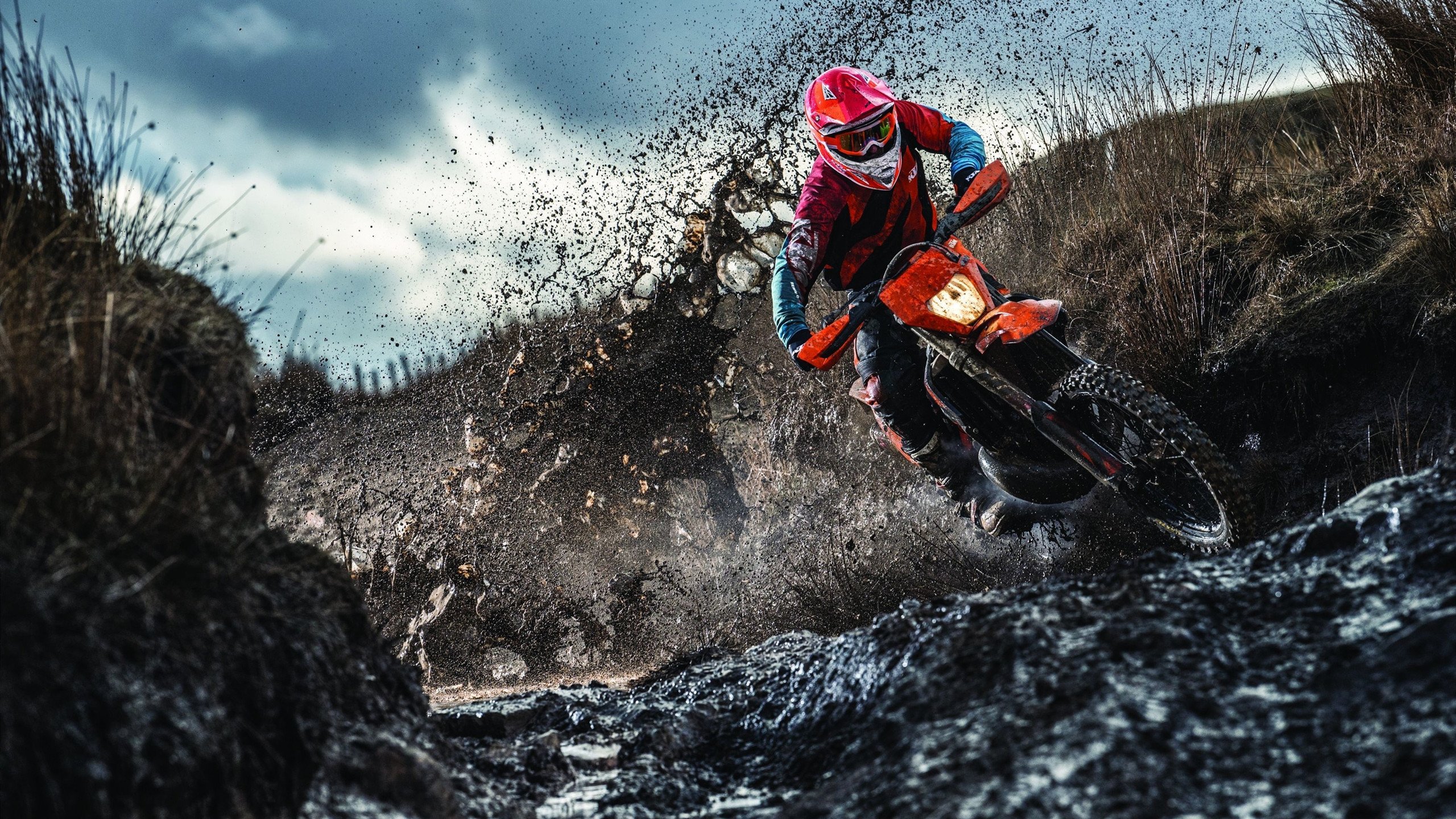 西决生死战之夜，塔图姆关键回合不手软